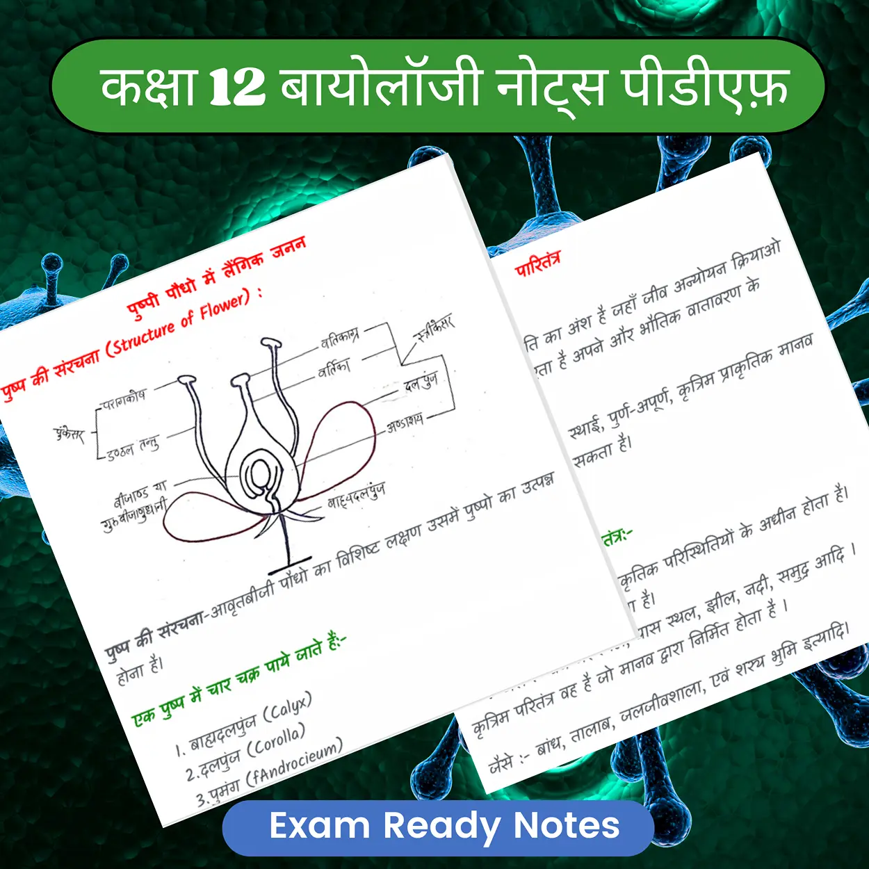 biology notes in hindi