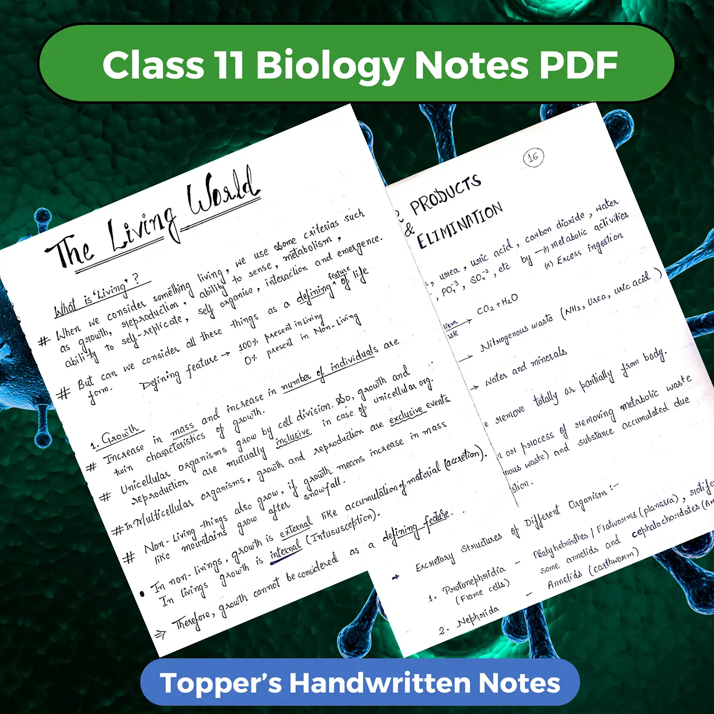 Class 11 Biology Notes PDF Download 2025-2026 (Topper's Handwritten Notes)