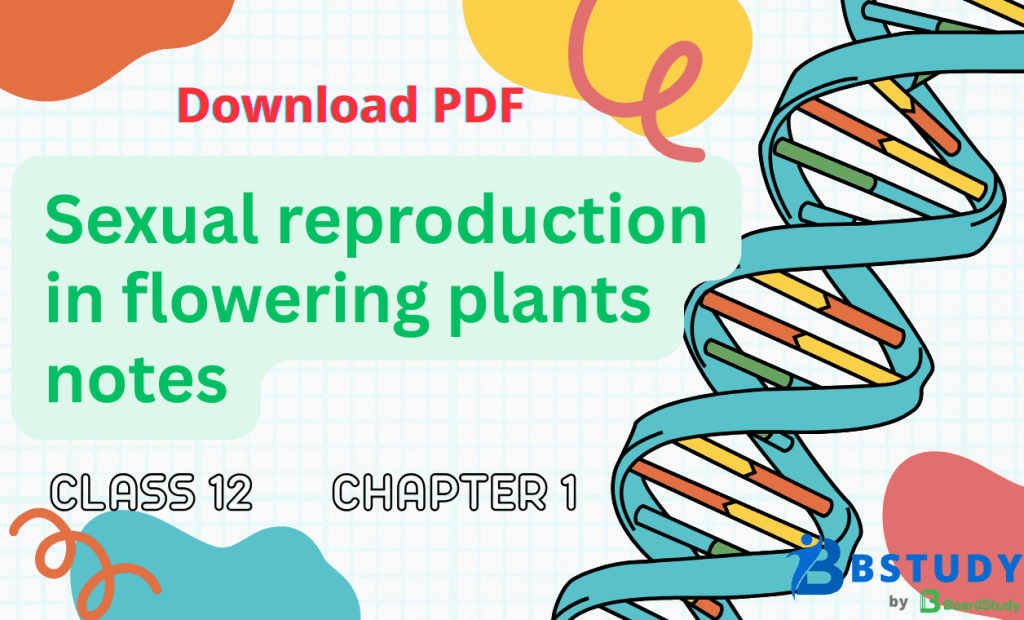 Class 12 Biology Chapter 1 Sexual Reproduction in Flowering Plants Notes PDF Download