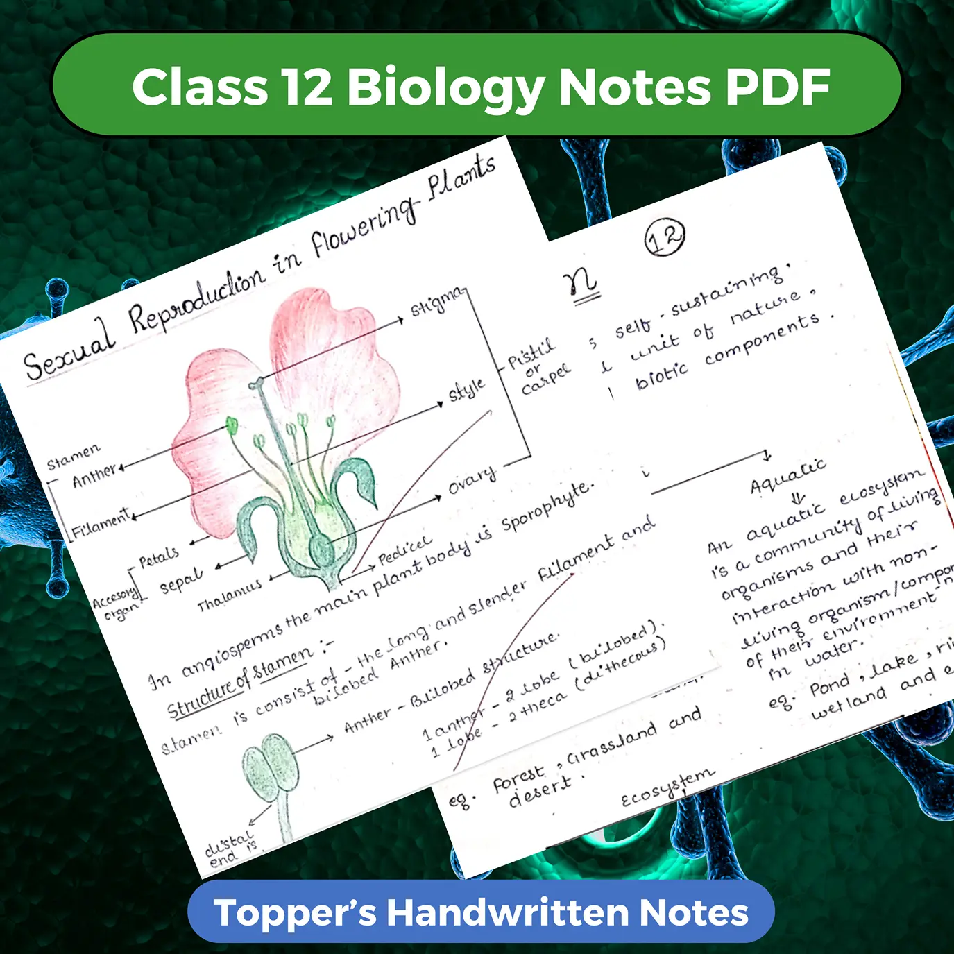 Class 12 Biology Handwritten Notes PDF Download 2025-2026 (Topper's Handwritten Notes)