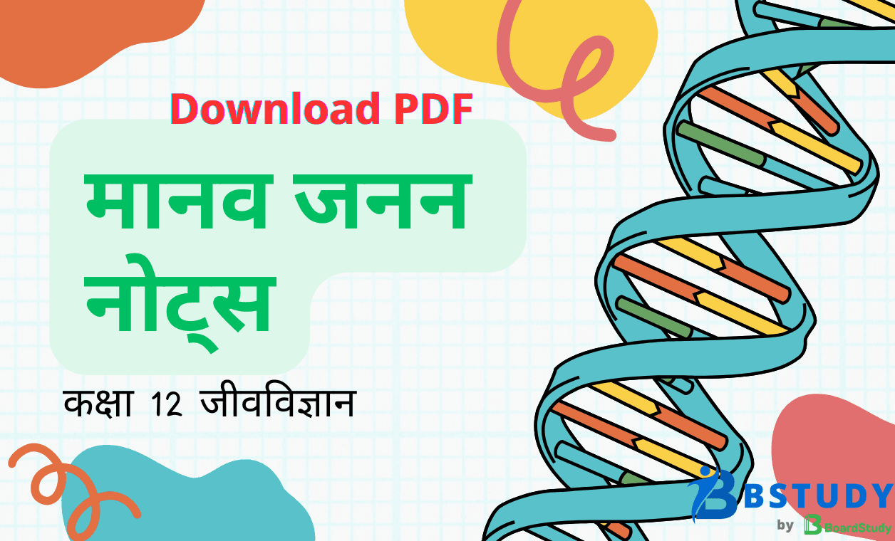 कक्षा 12 जीवविज्ञान पाठ 2 मानव जनन नोट्स पीडीएफ़ डाउनलोड