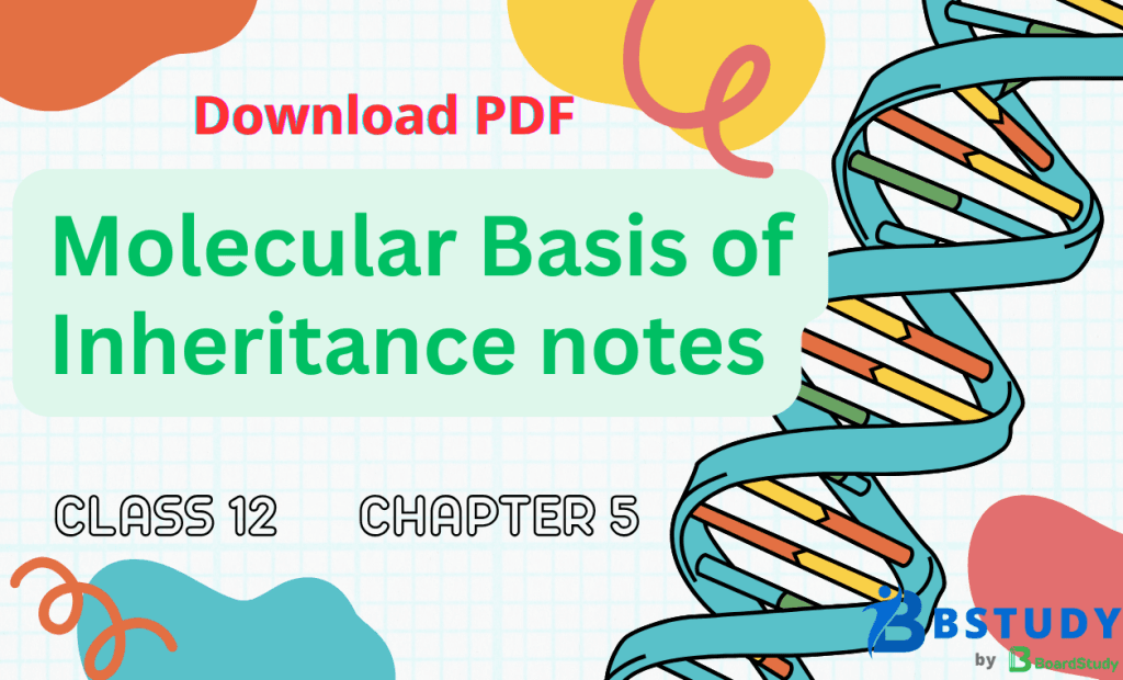 Class 12 Biology Chapter 5 Molecular Basis of Inheritance Notes PDF Download