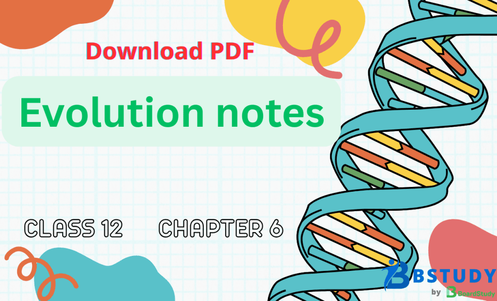 Class 12 Biology Chapter 6 Evolution Notes PDF Download