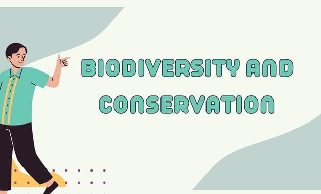 Biodiversity and Conservation notes