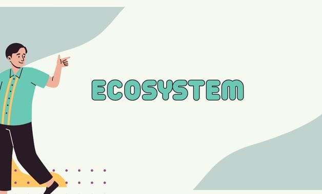 Ecosystem